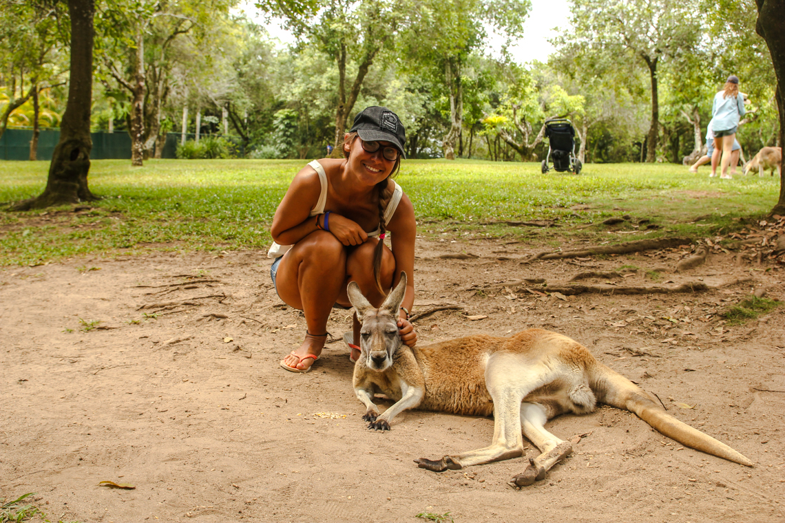 Kangaroo Cuddling in Australien