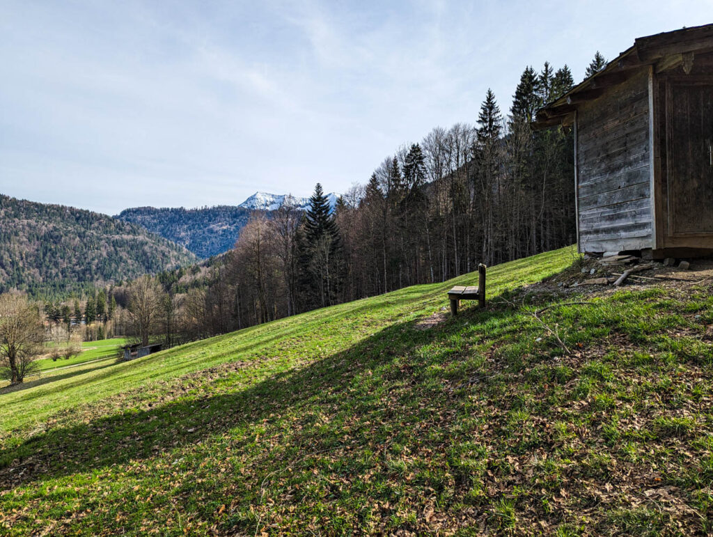 Lichtung