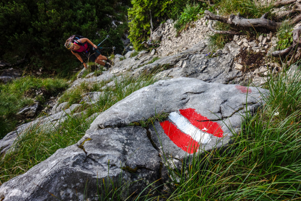 Kletterstellen im lichten Wald