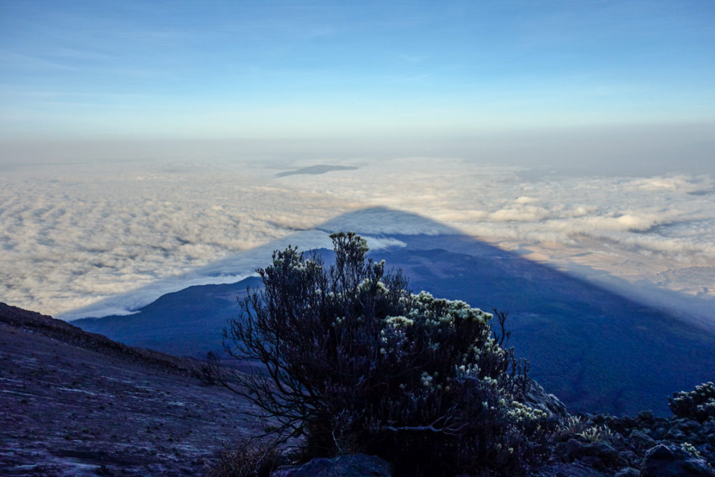 Schatten des Merus