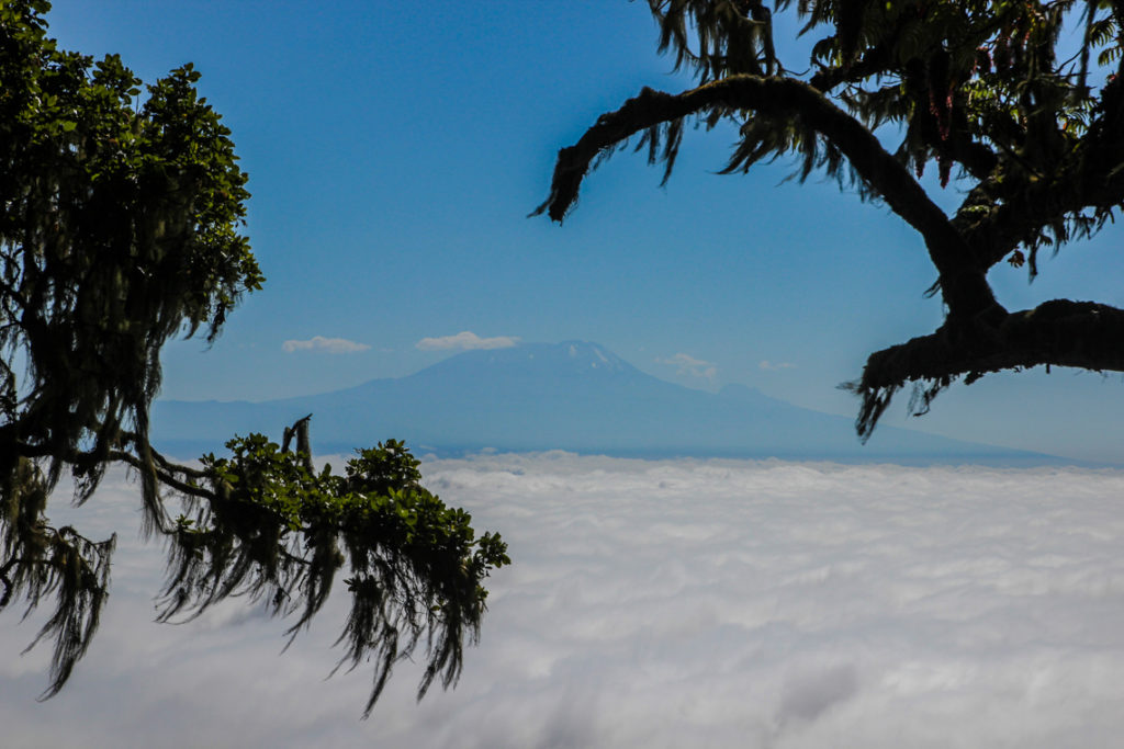 Blick auf den Kilimanjaro über dem Wolkenmeer