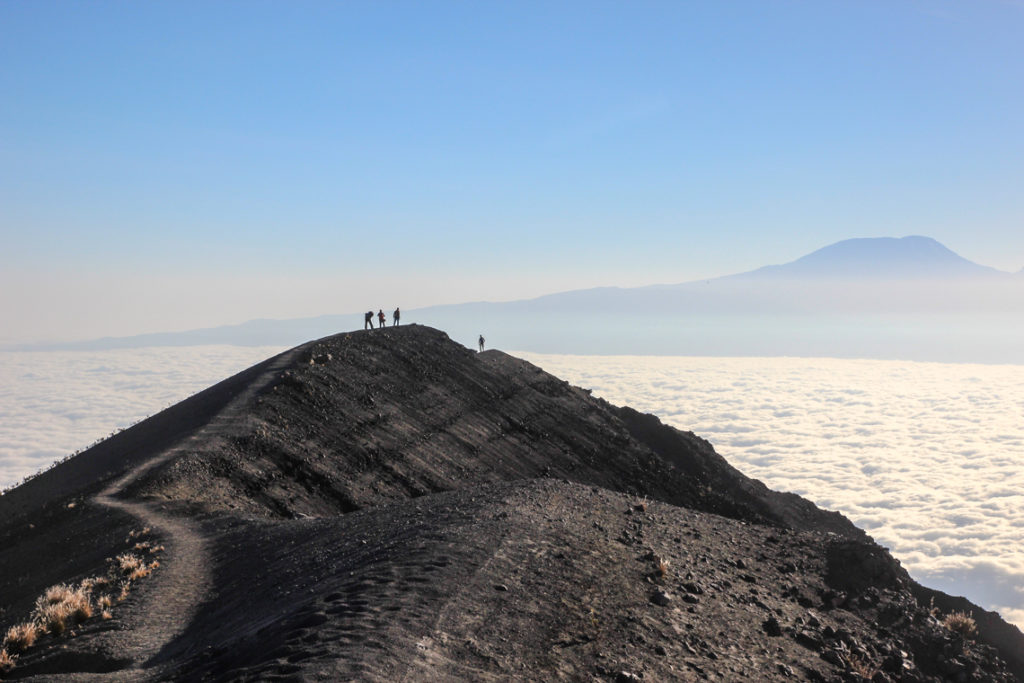 Blick zum Kilimanjaro, dem nächsten Ziel