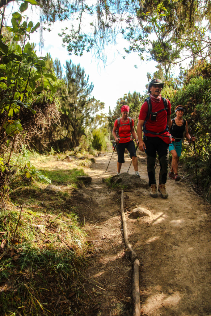 Weg zur Machame Hut