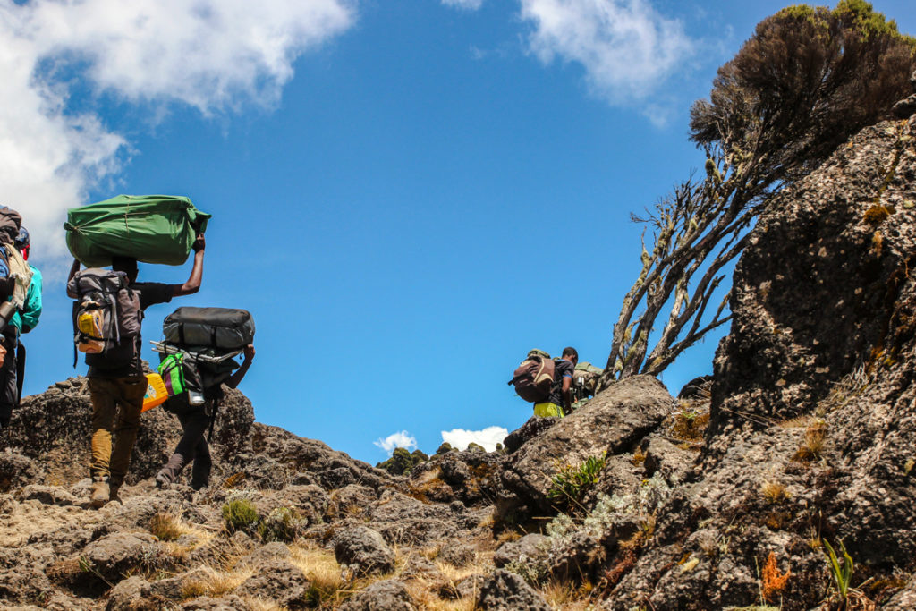 Träger auf dem Weg zum Shira Plateau