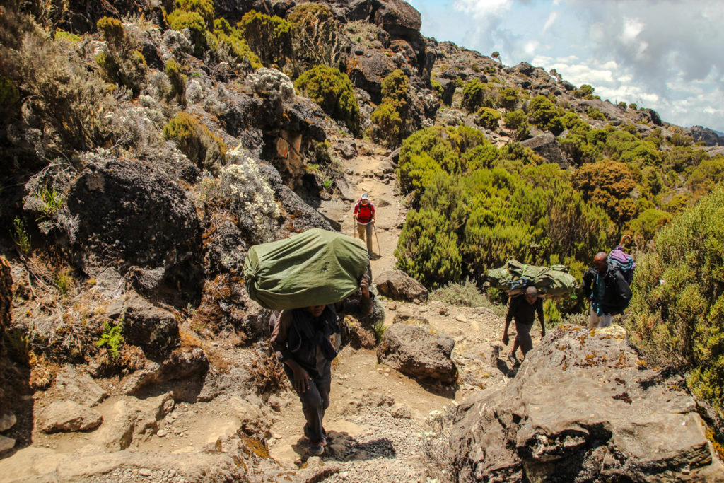 Träger auf dem Weg zum Shira Plateau