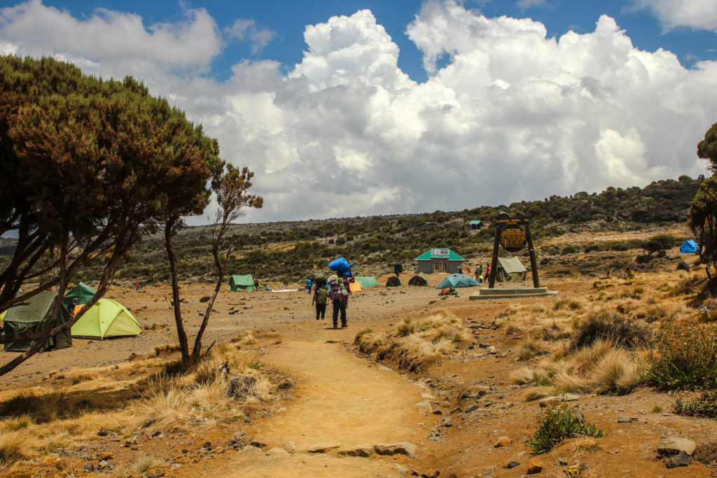 Ankunft am Shira Plateau Camp