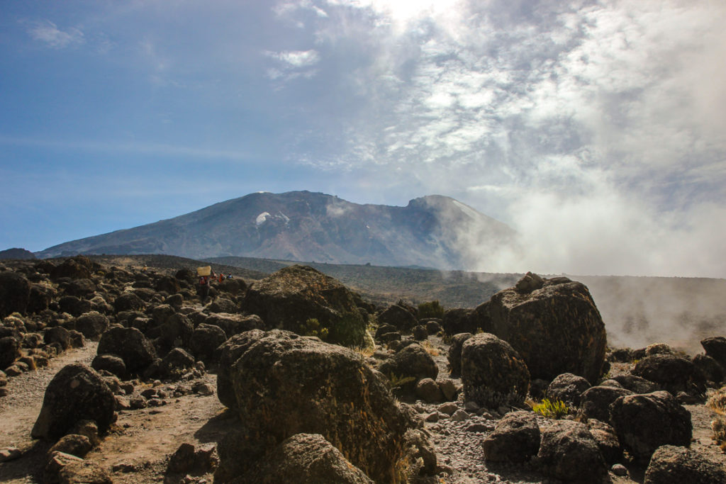 Kilimanjaro