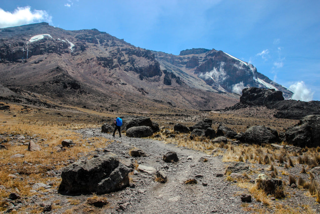 Kilimanjaro