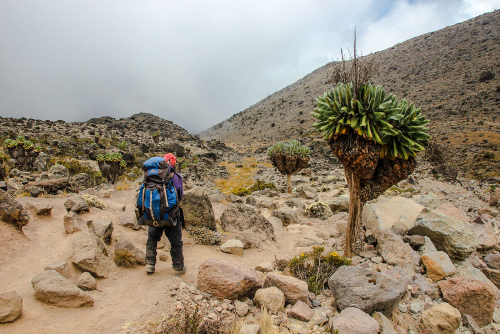 Auf dem Weg ins Barranco Camp