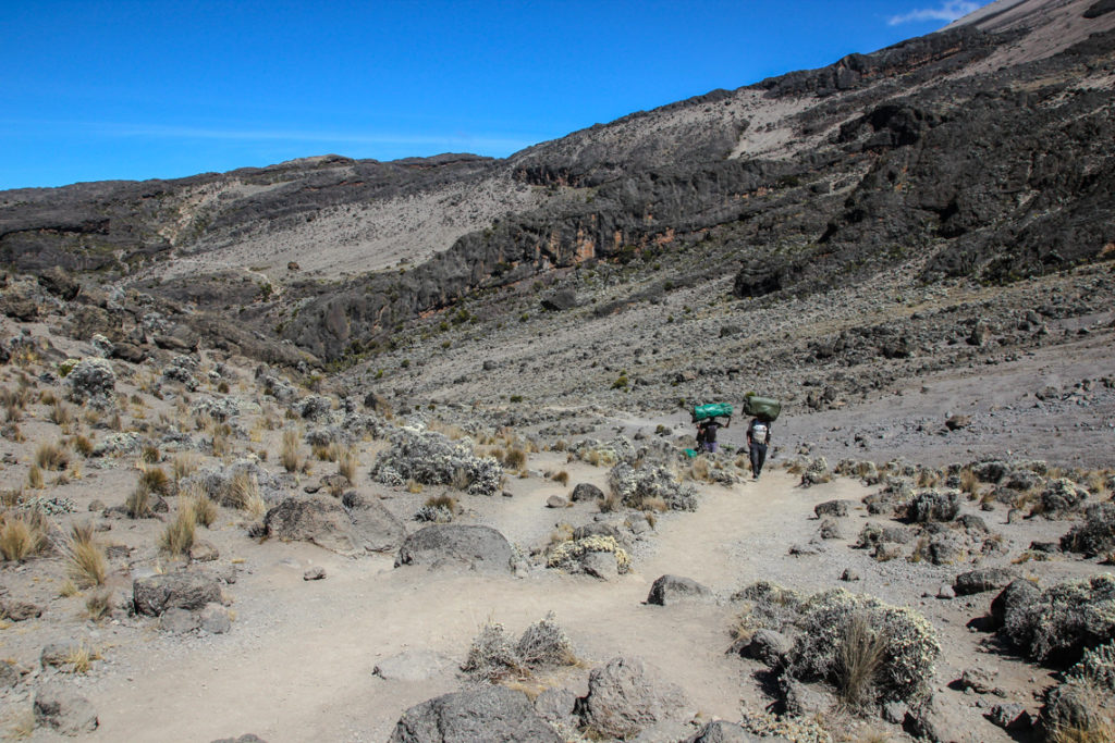 Am Kilimanjaro vorbei