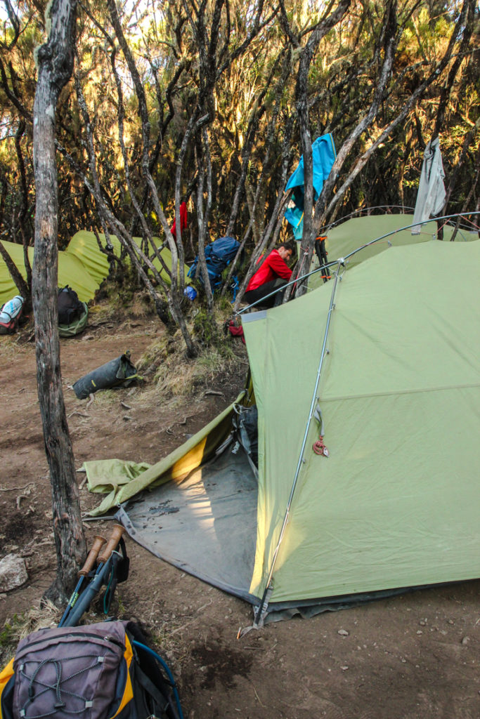 Mweka Camp