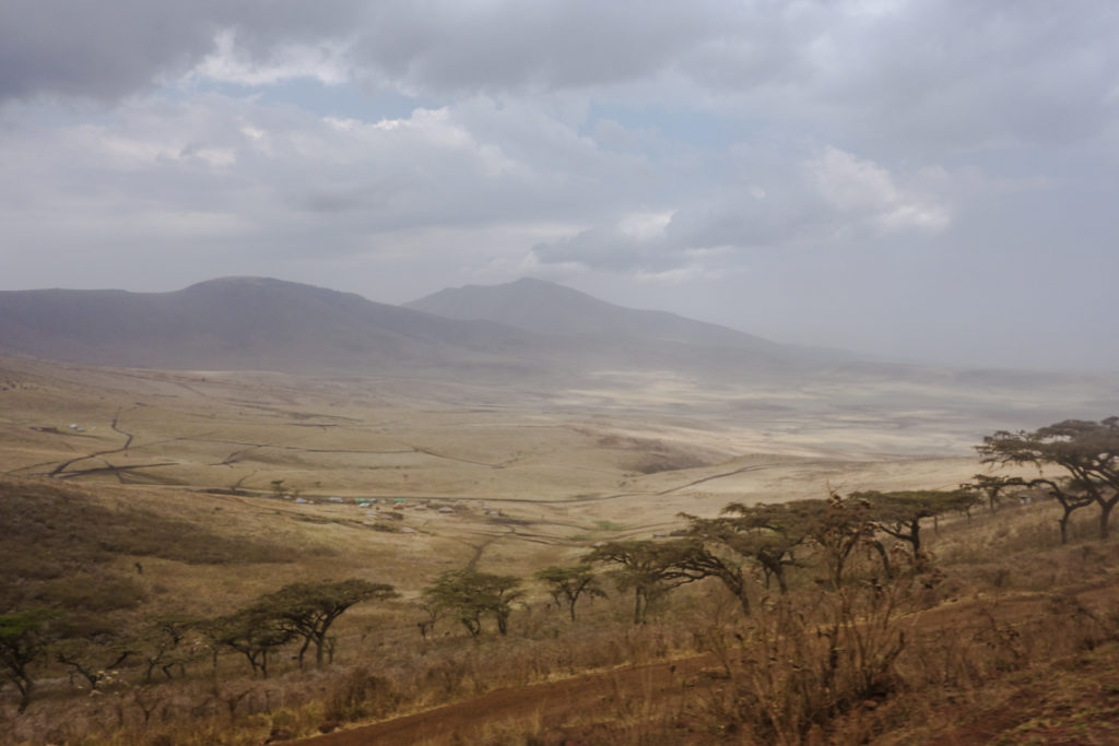 Massaihütten im Ngorongoro Krater