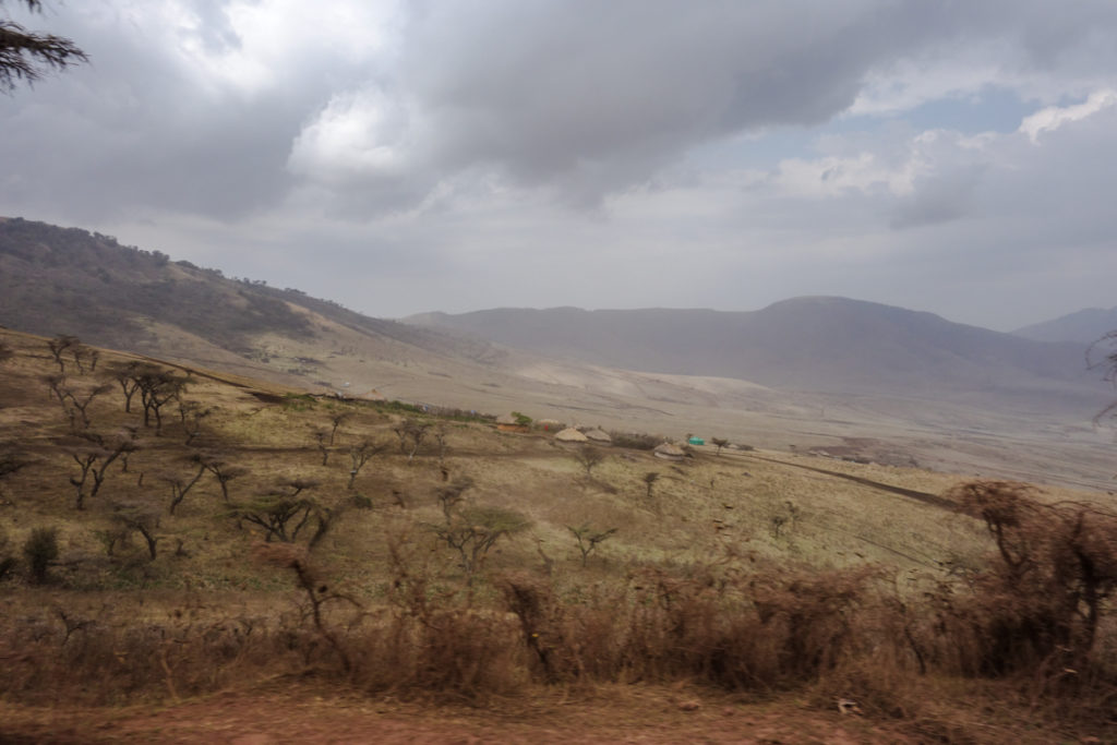 Ngorongoro Krater Conservation Area