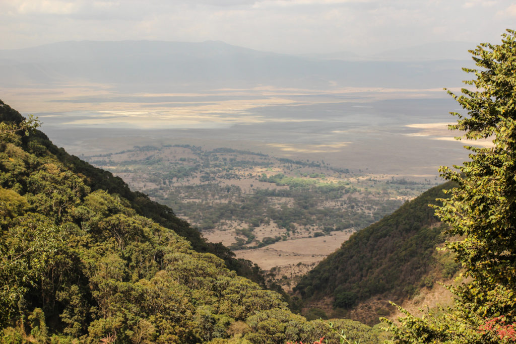 Blick in den Ngorongoro Krater