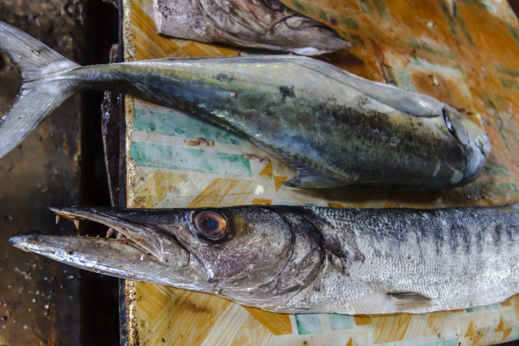 Fischmarkt in Stone Town