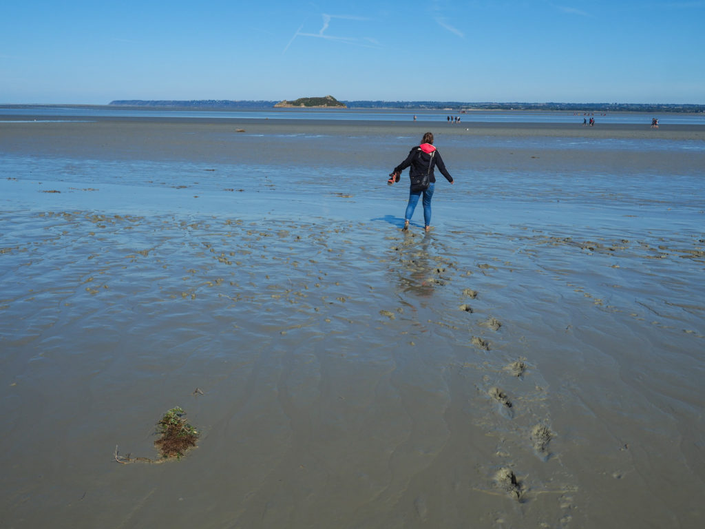 Wattwanderung rund um Mont Saint Michel