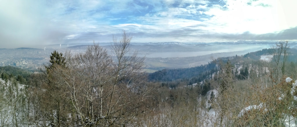 Panorama vom Uetliberg