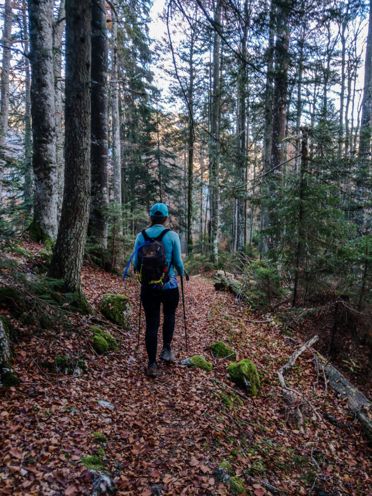 Aufstieg durch den Wald