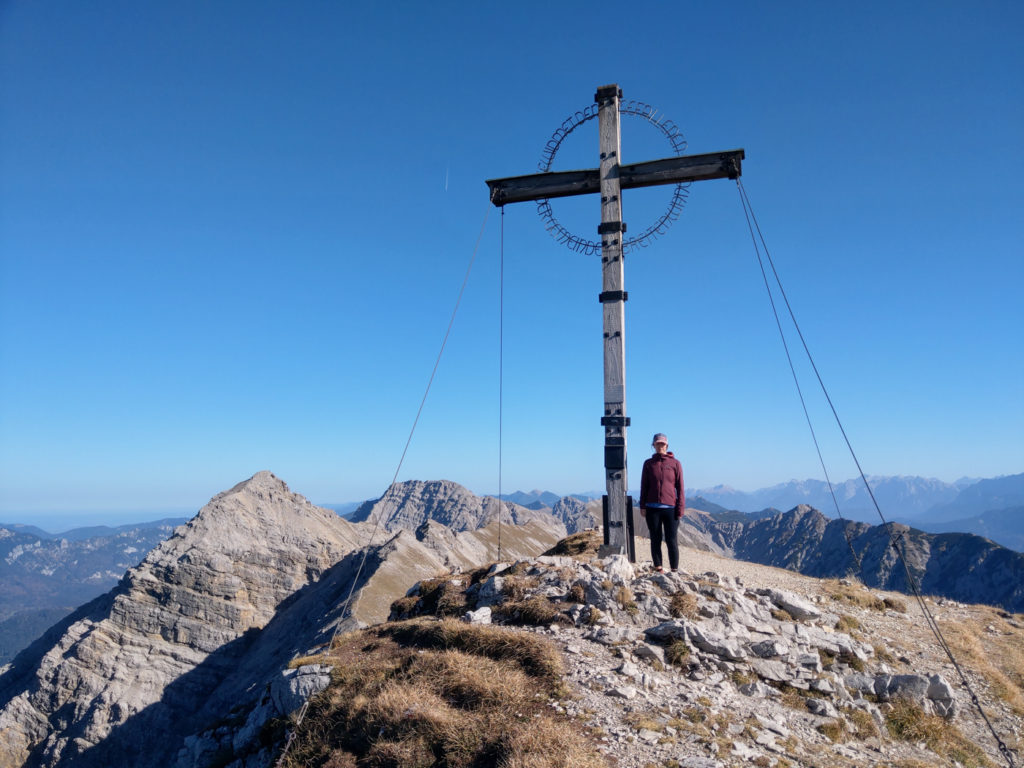 Westlicher Geierkopf