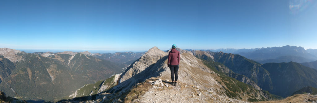 Westlicher Geierkopf