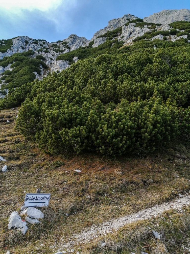 Der Weg zum Gipfel