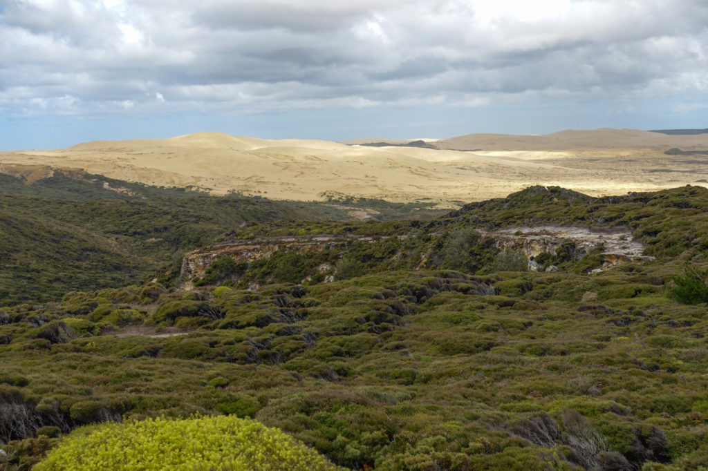 Ausblick auf Sanddünen