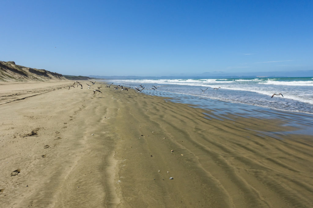 90 Mile Beach