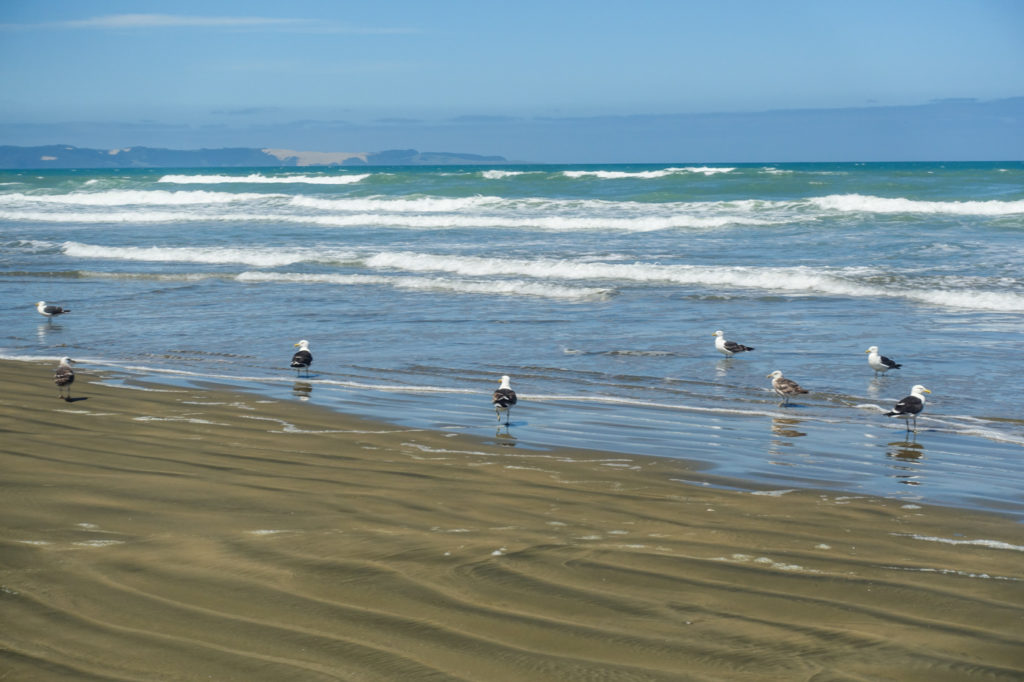 90 Mile Beach