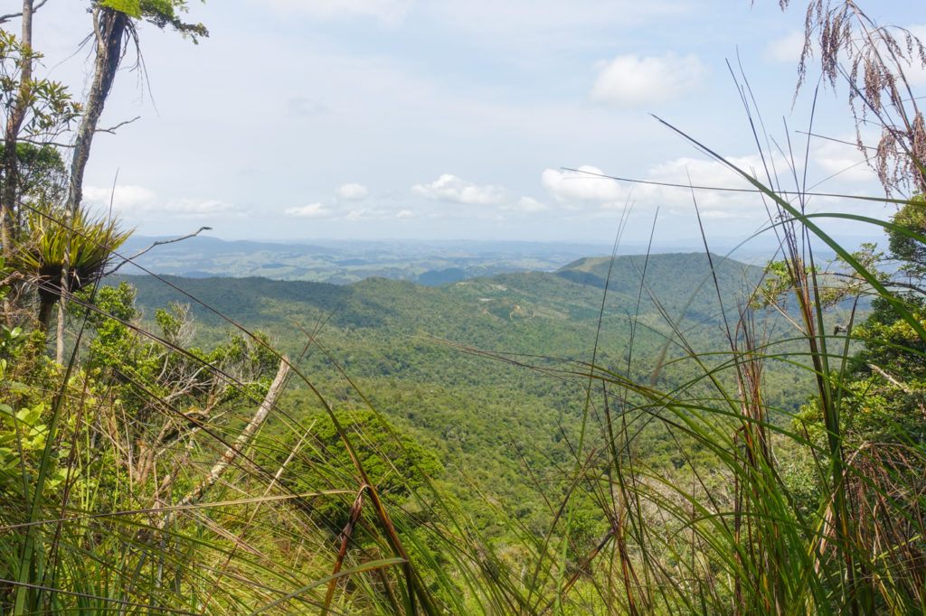 Ausblick auf die Hügel ringsherum