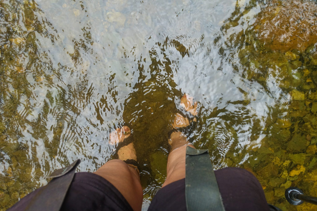 Flusswanderung im Puketi Forest