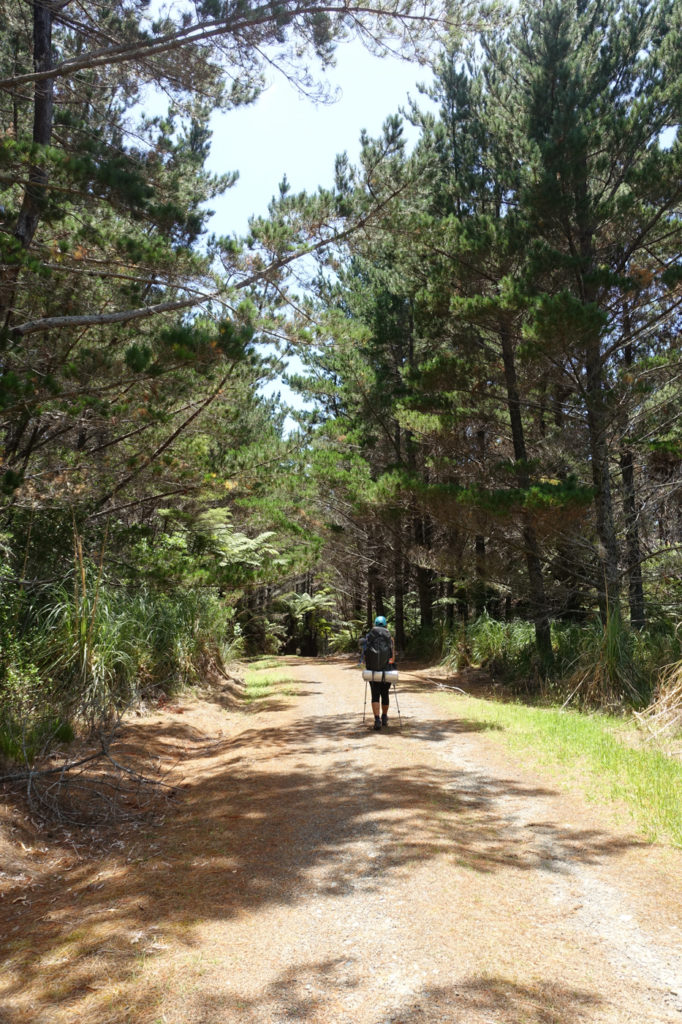 Waldweg