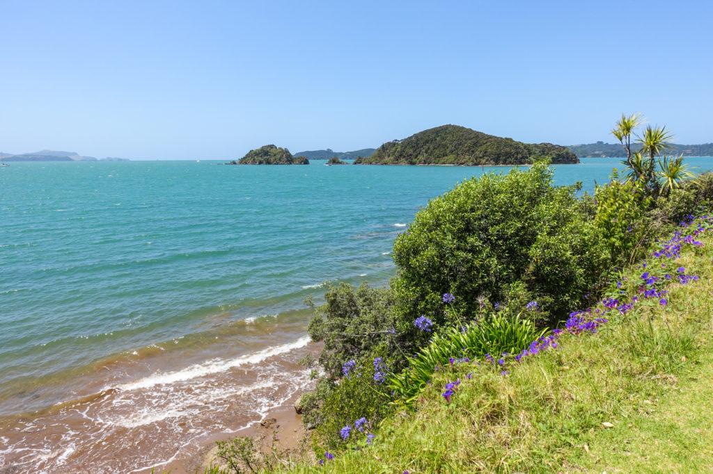 Paihia