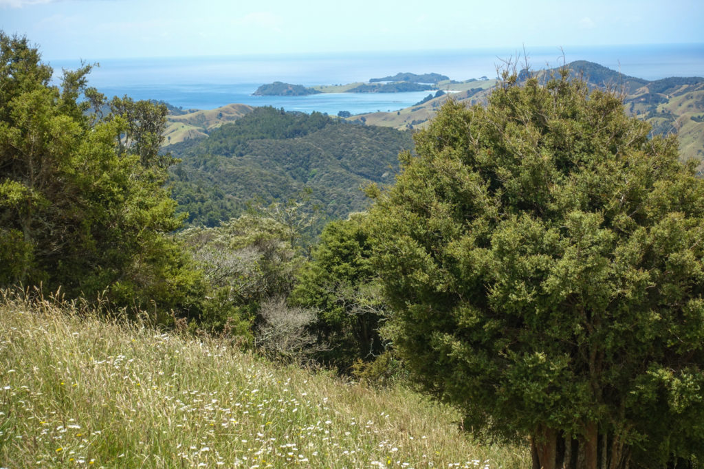 Aussicht aufs Meer