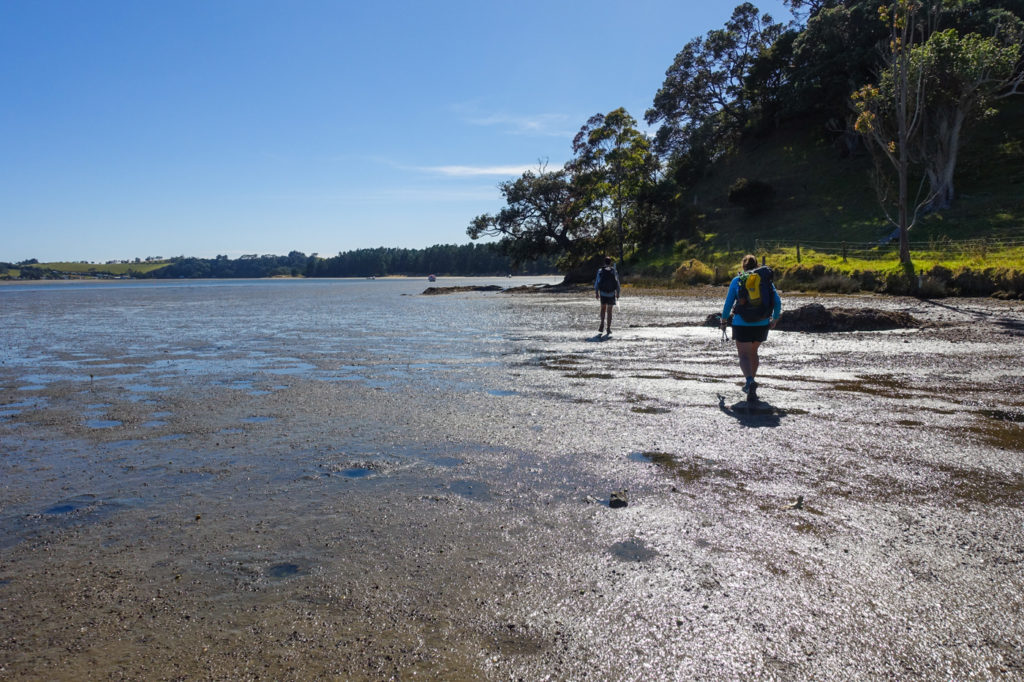 Whananaki Inlet