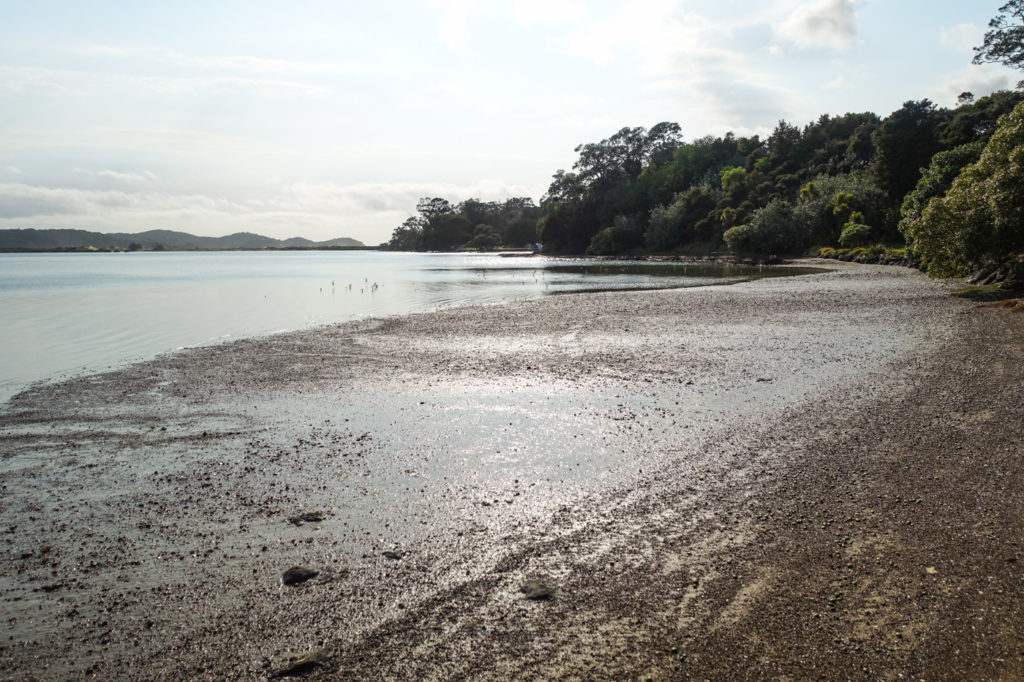 Strand am Nikau Bay Eco Camp
