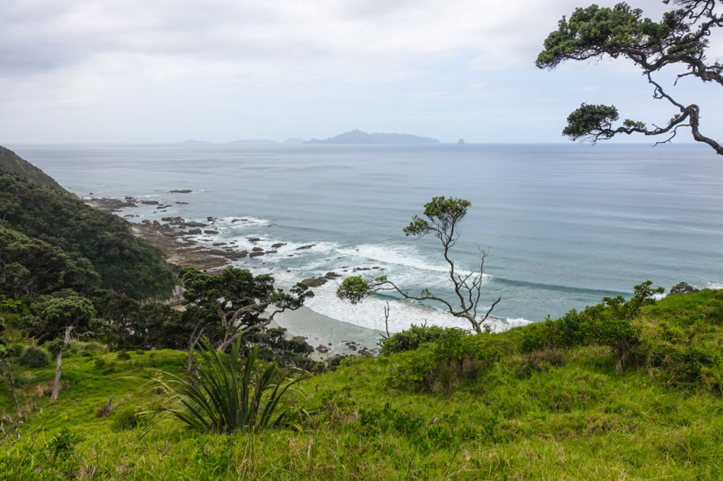 Mangawhai Track