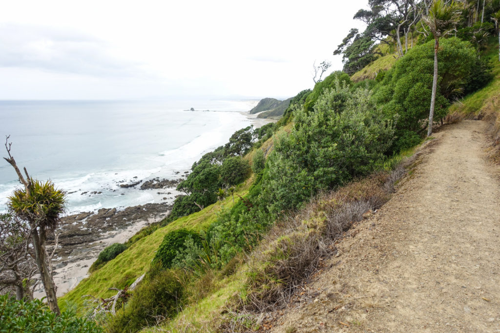 Mangawhai Track