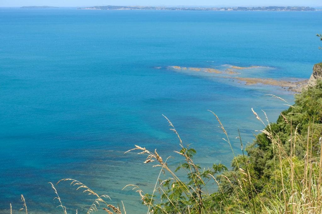 Wenderholm Regional Park