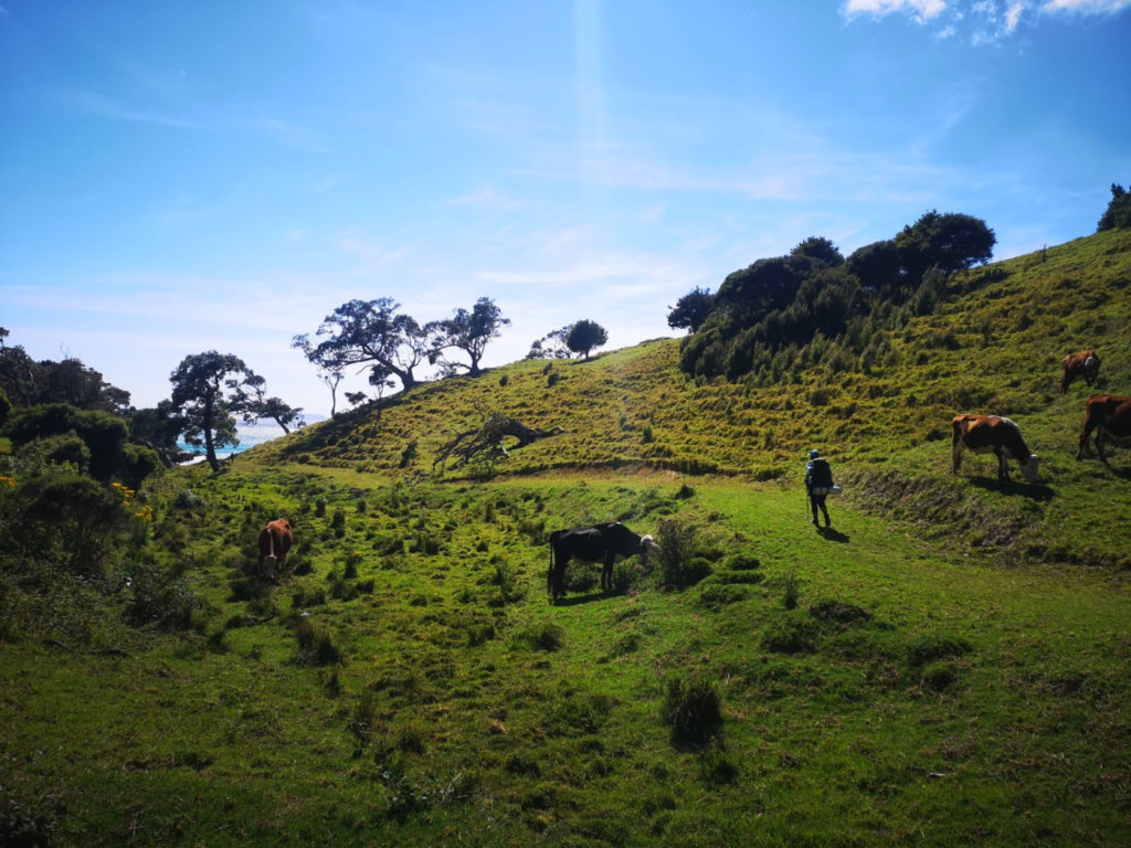 Farmlandschaft