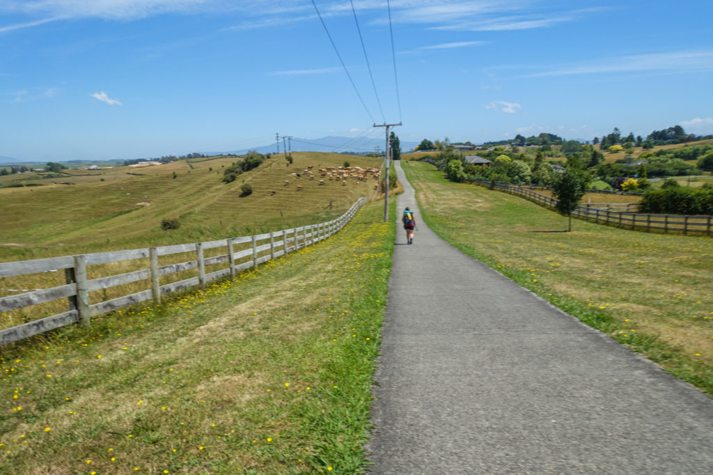 Weg durch Weidelandschaft