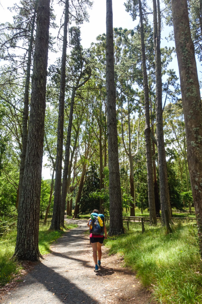 Im Arboretum