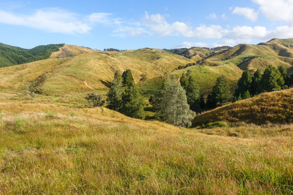 Umliegende Landschaft