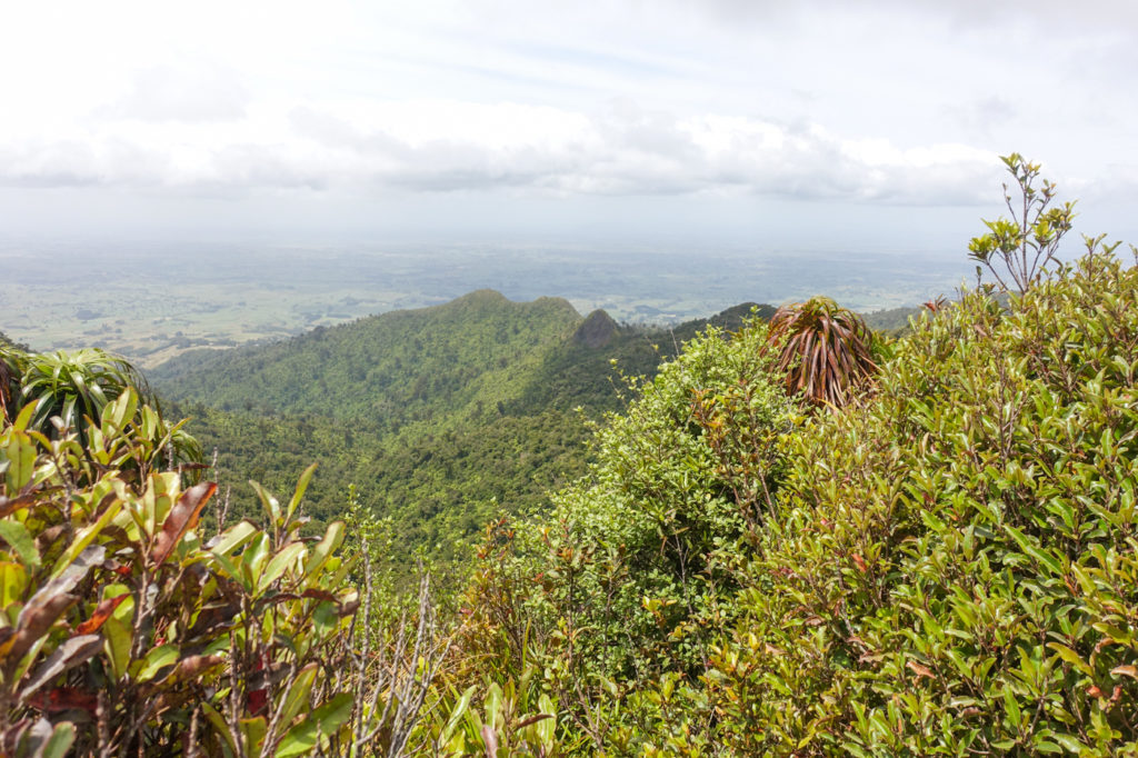Aussicht auf die Pirongia Berge