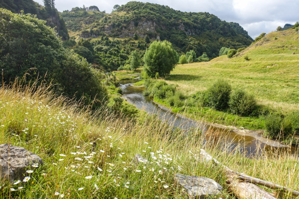 Flusslandschaft