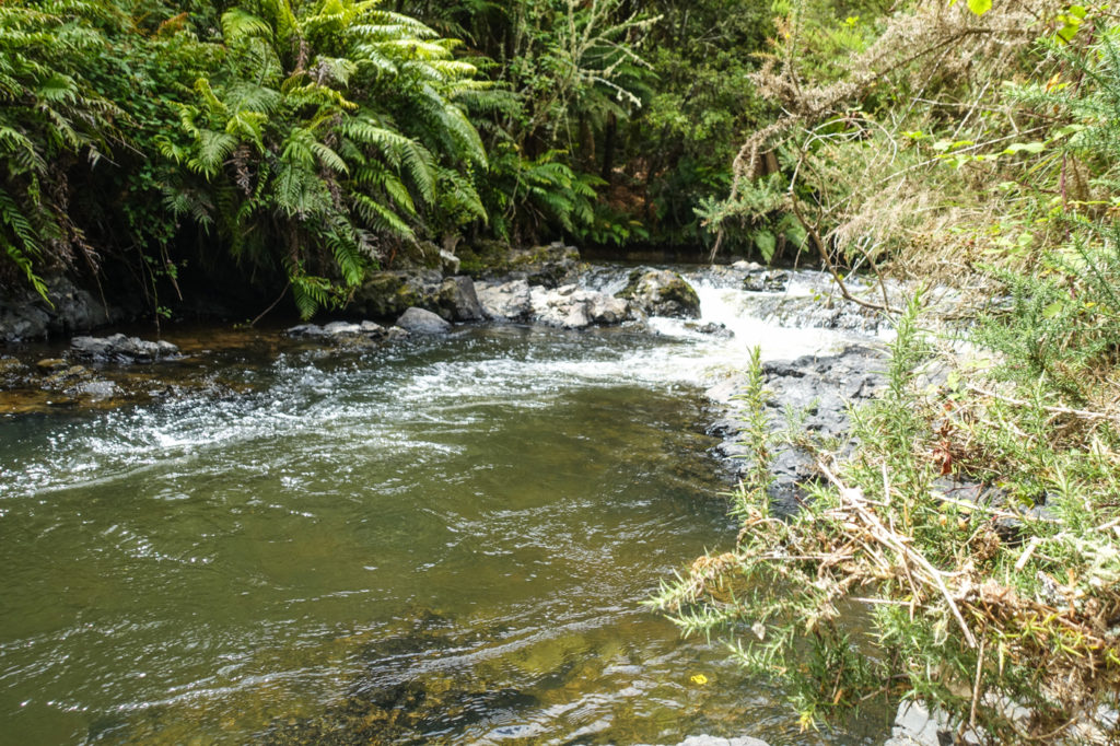 Fluss