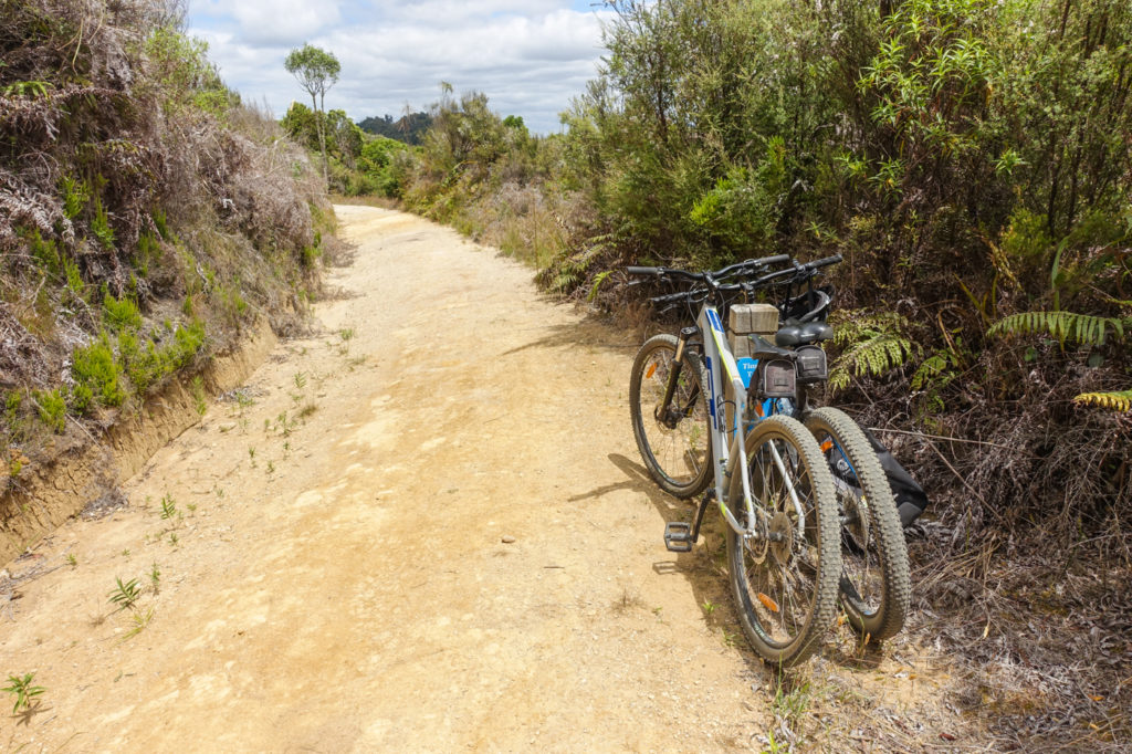 Timber Trail