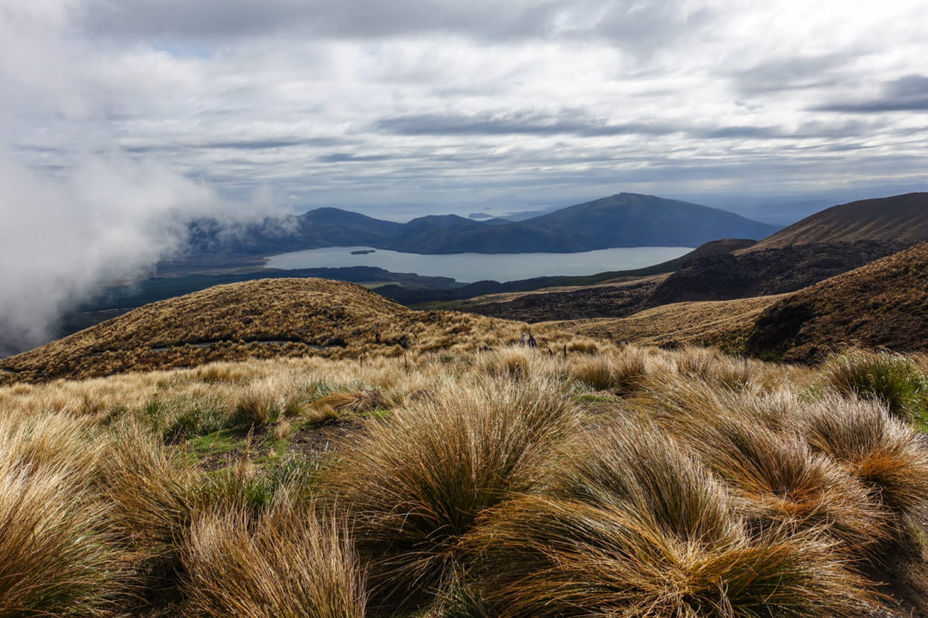 Lake Rotoaira und Lake Taupo