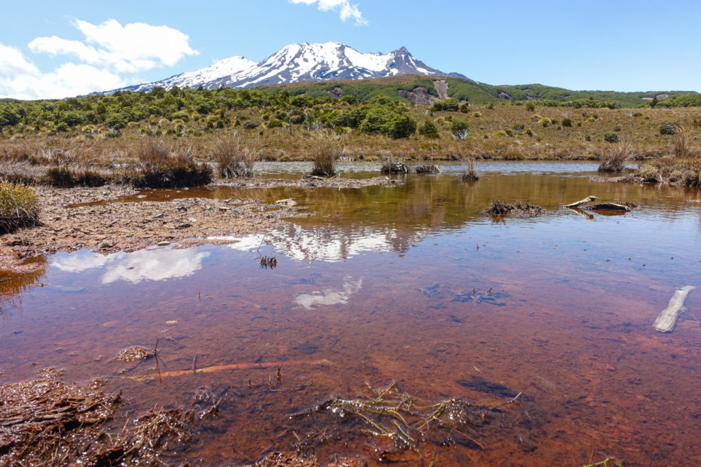 Mount Ruapehu