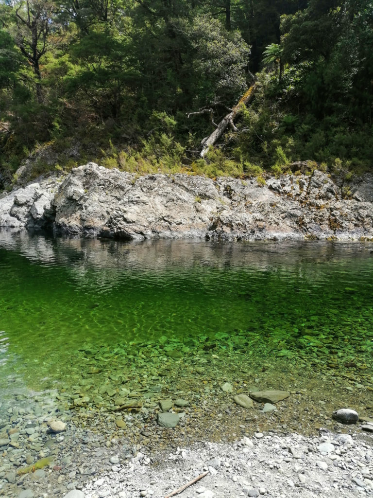 Pelorus River