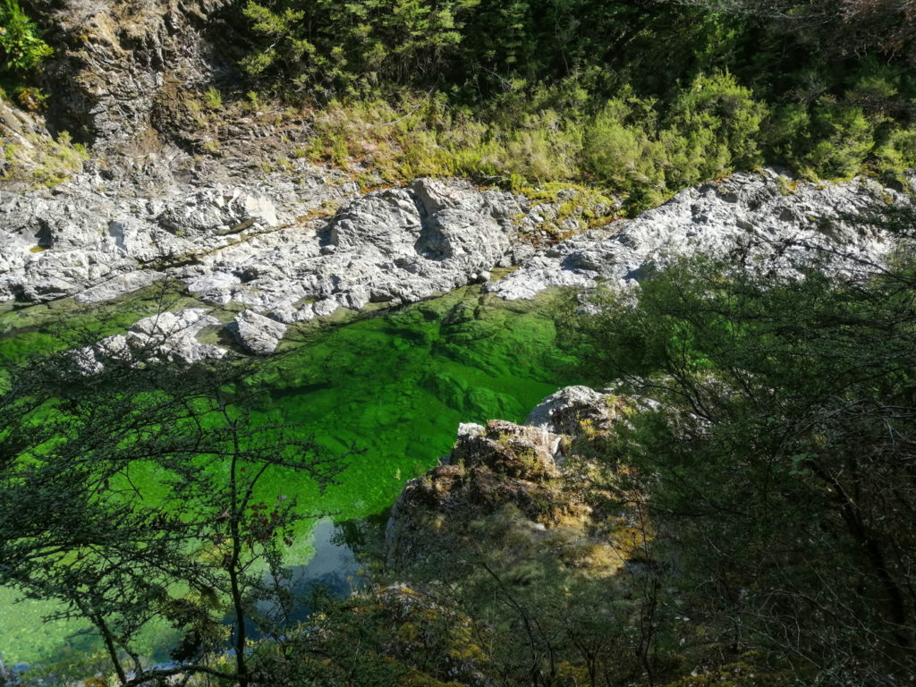 Pelorus River